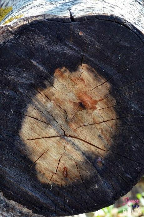 MACRO DEL DÍA: NATURALEZA EN ESTADO PURO