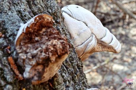 MACRO DEL DÍA: NATURALEZA EN ESTADO PURO