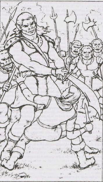 El bosque de las Brumas