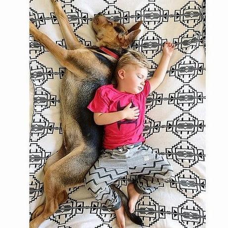 Las siestas de Theo y Beau | Theo & Beau Naps
