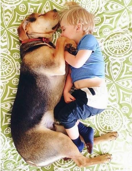 Las siestas de Theo y Beau | Theo & Beau Naps