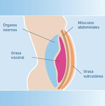 Pesoredux® El Nuevo Complemento Adelgazante de Forté Pharma y sus Redes Sociales Pesoredux® El Nuevo Complemento Adelgazante de Forté Pharma y sus Redes Sociales