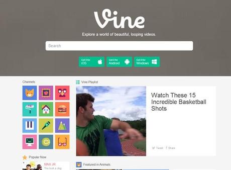 vine-co