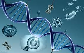 Nanotecnología para Crear y Sanar Nanotecnología para Crear y Sanar