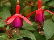 Nanotecnología para Crear Sanar