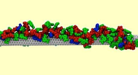 Nanotecnología para Crear y Sanar Nanotecnología para Crear y Sanar