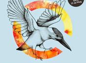 Festival 2014: Fiesta Electrónica (19.Julio.2014)