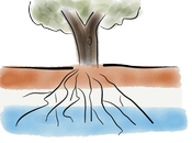 origen holandés Holocracia