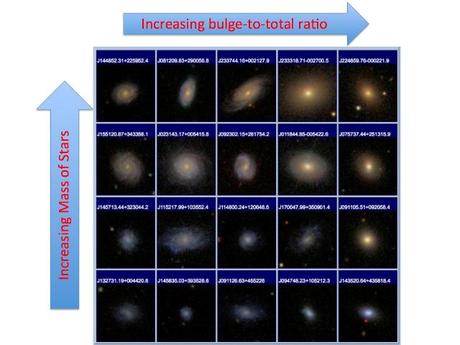Imágenes de una pequeña fracción de las galaxias analizadas en un nuevo estudio. Las galaxias están clasificadas por la masa total de las estrellas (ascendente de abajo hacia arriba) y por la proporción entre la masa del bulbo y la masa total de la galaxia (aumentando de izquierda a derecha). Las galaxias que aparecen más rojas tienen valores altos para ambas mediciones, lo que significa que la masa del bulbo y el agujero negro central determina su color. Crédito: A. Bluck 