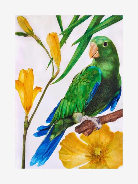 Nos vamos al Trópico!!