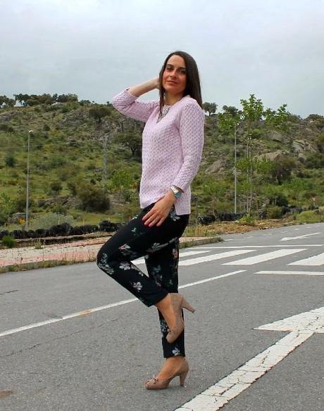 Malva para la primavera...