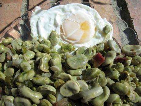 habas-con-jamon-y-huevos-fritos-