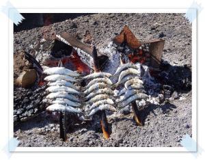 15 planes si veraneas en la Costa del Sol 1