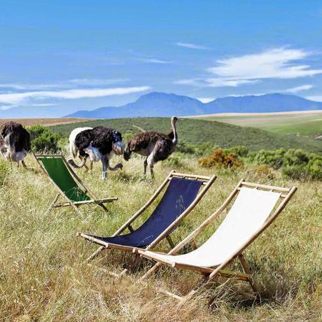 Al Aire libre: Viste de color tu balcón con ideas frescas. Al Aire libre: Viste de color tu balcón con ideas frescas.