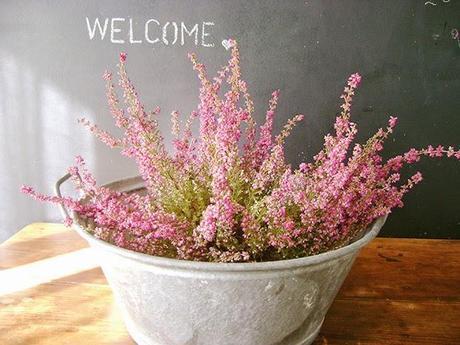 Al Aire libre: Viste de color tu balcón con ideas frescas. Al Aire libre: Viste de color tu balcón con ideas frescas.