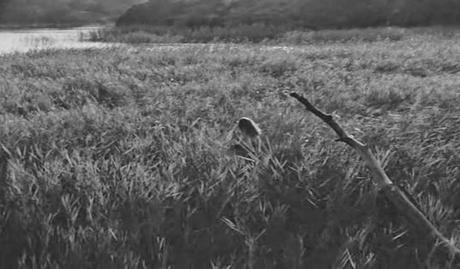 Sommaren med Monika - 1953