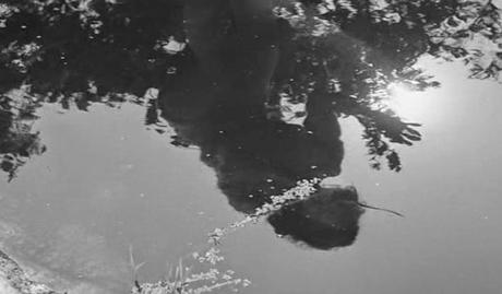 Sommaren med Monika - 1953