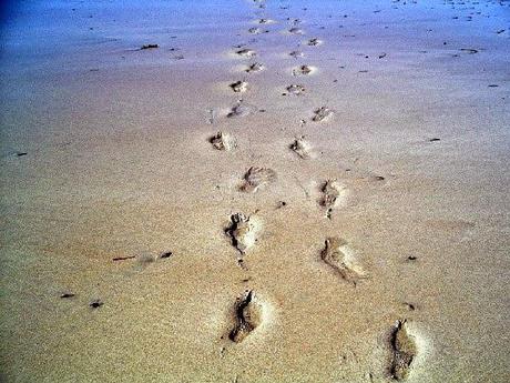 El perdedor. Cortometraje y cuento