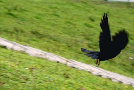 LOS 44 MEJORES PORTALES PARA LA BÚSQUEDA DE EMPLEO