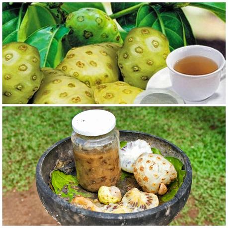 PROPIEDADES NUTRITIVAS Y CURATIVAS DEL NONI