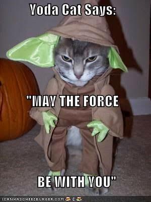 Que la Fuerza este contigo....