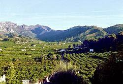 Entre los callados Muros del Clero