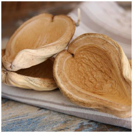 Crema especiada de lentejas rojas