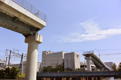 Jamón en Japón (Que buen pareado)