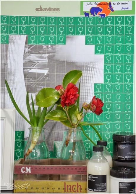 Primavera con Suso Fercort