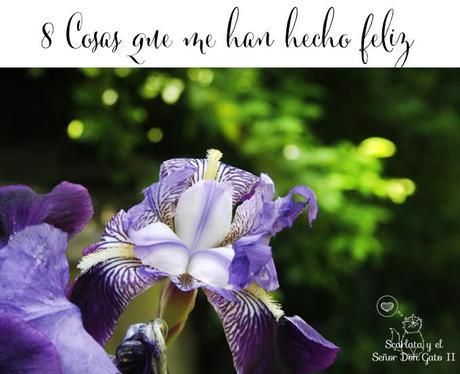 this week im happy for... this week im happy for...