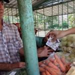 ¿Cómo sobrevivir en Cuba con 18 dólares al mes? pago