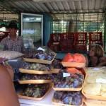 ¿Cómo sobrevivir en Cuba con 18 dólares al mes? variado