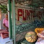 ¿Cómo sobrevivir en Cuba con 18 dólares al mes? produccion-alternativa-de-alimentos