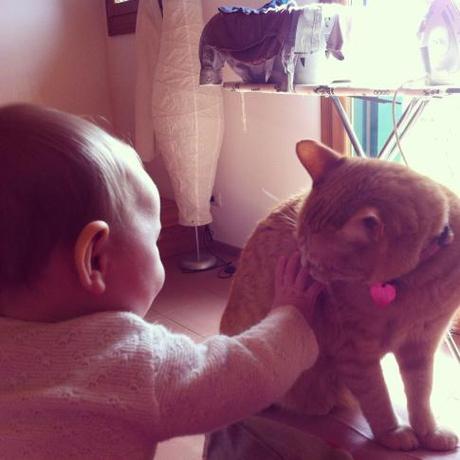 gato y bebe