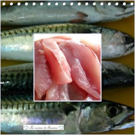 Conserva de xarda (caballa)