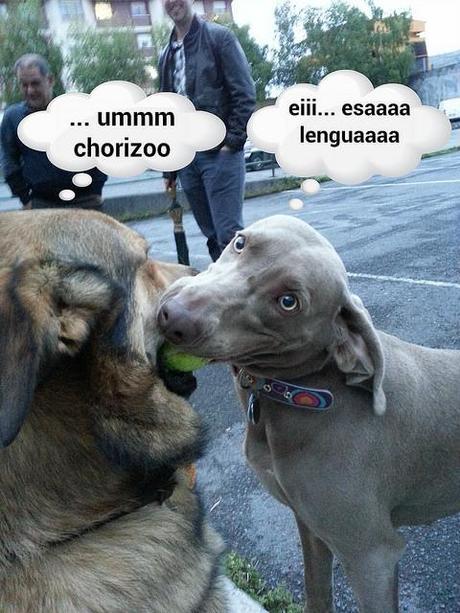 estamos tan agustito