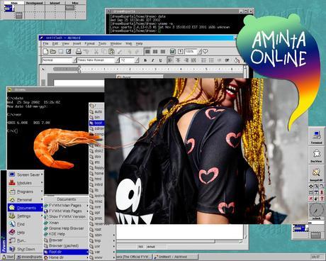 Windows_amigasdelcoco_amintaonline2