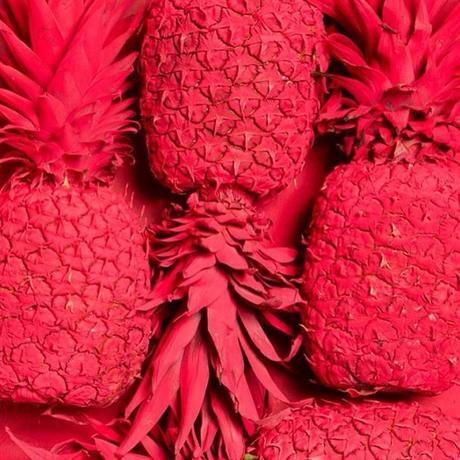 INSTAMONTH #4 INSTAMONTH #4