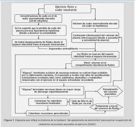 Causas de los Calambres Musculares