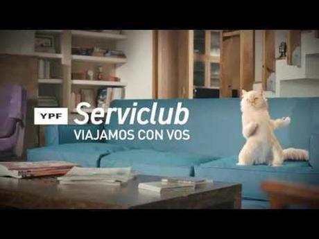 El GATO SIAMÉS del comercial de YPF Serviclub