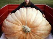 Cómo paliar (que superar) calabaza como catedral