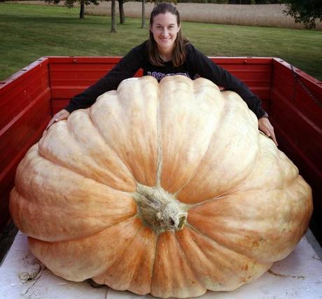 Cómo paliar (que no superar) una calabaza como una catedral