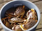 envidia expresada sindrome cubo cangrejos