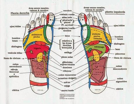 CURIOSIDADES DE NUESTRO CUERPO! Trucos y más...