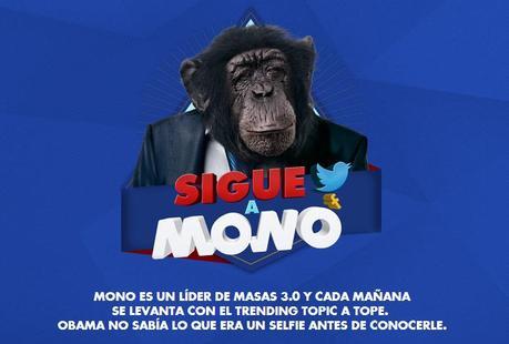 sigue a mono