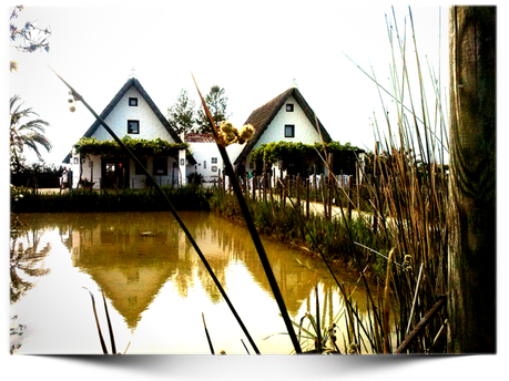 Nos fuimos de Batiboda