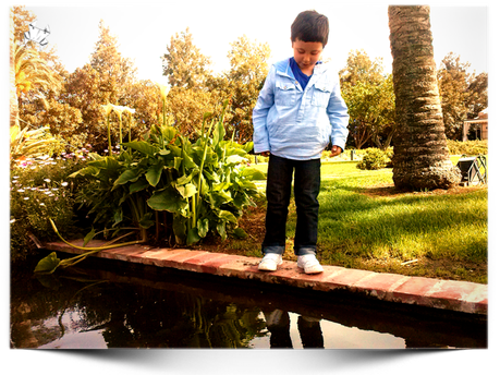 Nos fuimos de Batiboda