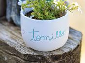 Mini maceta personalizada