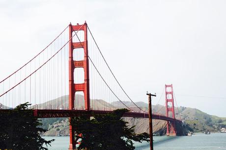 San_Francisco-Road_Trip_California-Alamo_Square-Collaege_Vintage-27