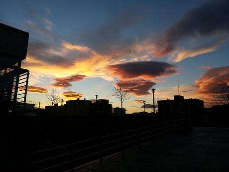 Androidografia Barakaldo 1690